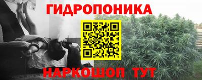 spice Заволжье