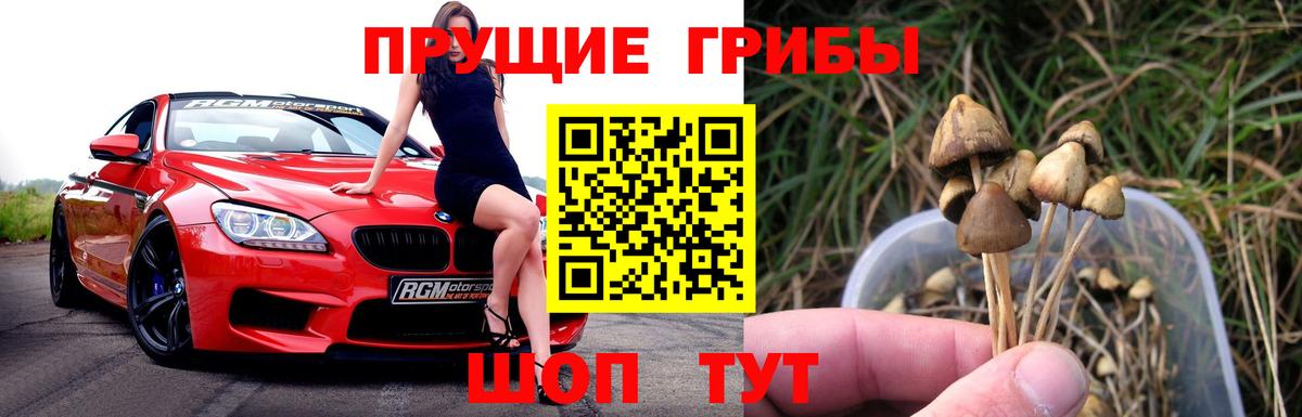 магазин  наркотиков  Вход с VPN  Галлюциногенные грибы ЛСД  Мариинск  Галлюциногенные грибы ЛСД 